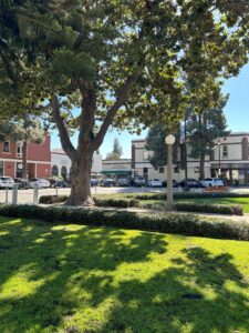 Photo of Plaza Square in Old Towne Orange